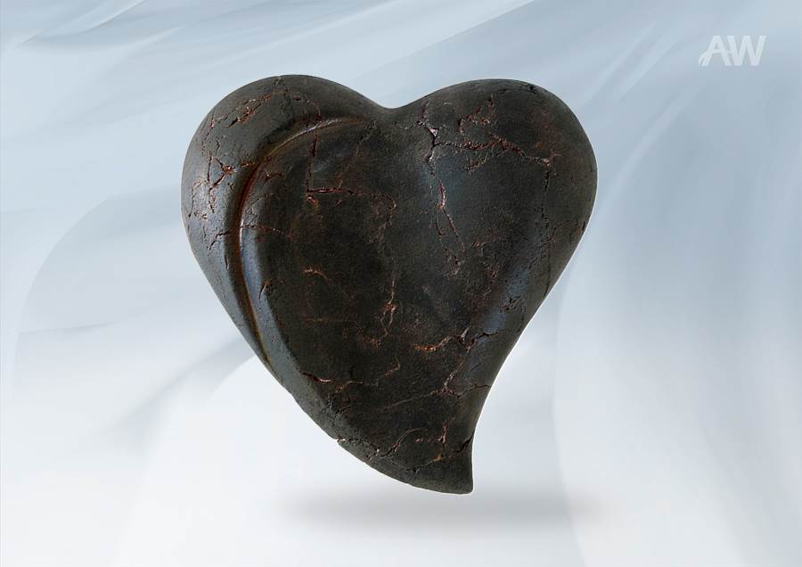 COEUR RAKU BRAND